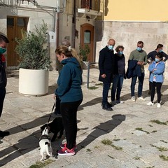 posizionate dieci fioriere in strada Annunziata