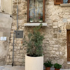 posizionate dieci fioriere in strada Annunziata