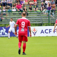 amichevole bari fiorentina