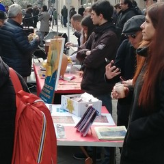 La maratona musical-solidale dell'onorevole Sisto nel centro di Bari