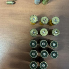 Stretta dell'Arma su Carbonara e Ceglie del Campo: sequestrati due fucili