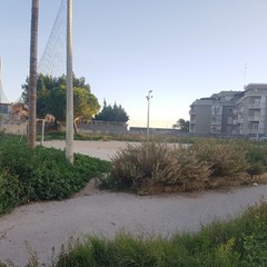 Il campo da calcio