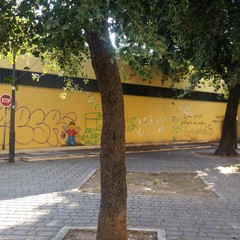 I disegni di Pao in piazza Garibaldi