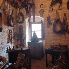 Visite guidate al Beato Giacomo