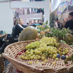 Sagra Oliva Tèrmite di Bitetto