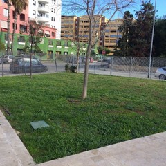 sopralluogo dellass Galasso nel giardino Triggiani
