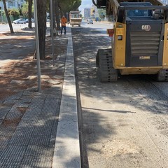 al via il cantiere per la risoluzione del problema causato dalle radici in viale delle Regioni