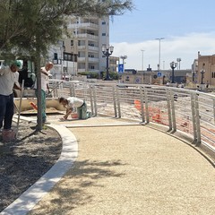spiaggetta Provolina