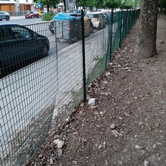 area cani viale kennedy