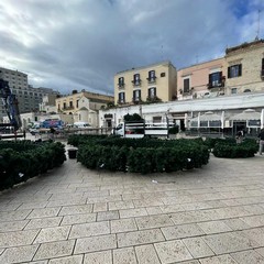 al via gli allestimenti natalizi in piazza del Ferrarese appuntamento il dicembre con l accensione dell albero di Natale della citt di Bari