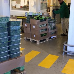 Le iniziative di InConTra durante l'epidemia Coronavirus