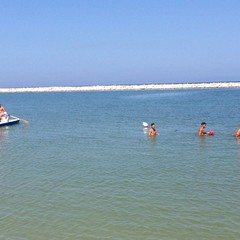 Estate al mare con gli amici a 4 zampe