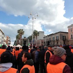 la protesta dei gilet arancioni