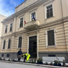 riqualificazione via Manzoni oggi le prime piantumazioni nel tratto tra corso Italia e via Crisanzio prosegue lavanzamento del cantiere foto