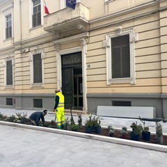 riqualificazione via Manzoni oggi le prime piantumazioni nel tratto tra corso Italia e via Crisanzio prosegue lavanzamento del cantiere foto