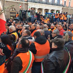 la protesta dei gilet arancioni