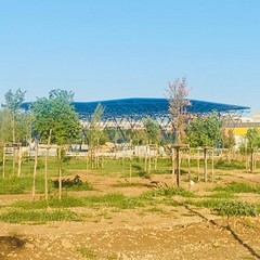 Parco della Rinascita