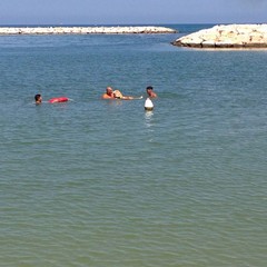 Estate al mare con gli amici a 4 zampe