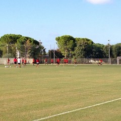 SSC Bari, allenamento sul campo dell'antistadio