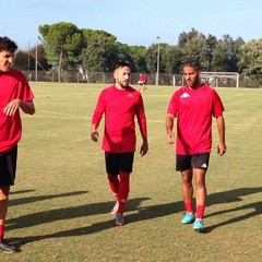 SSC Bari, allenamento sul campo dell'antistadio