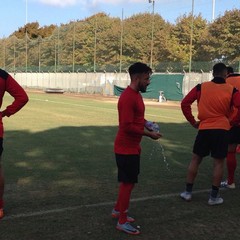 SSC Bari, allenamento sul campo dell'antistadio