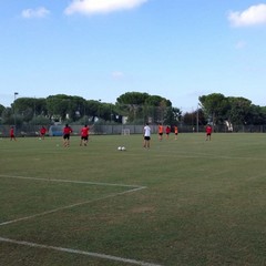 SSC Bari, allenamento sul campo dell'antistadio