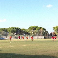 SSC Bari, allenamento sul campo dell'antistadio