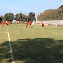 SSC Bari, allenamento sul campo dell'antistadio