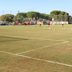 SSC Bari, allenamento sul campo dell'antistadio