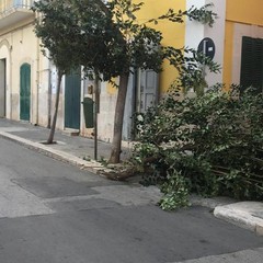 I danni del vento su Bari