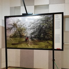 La mostra World press photo 2020 al Margherita