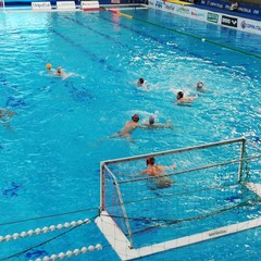 Semifinali Coppa Italia pallanuoto