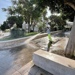 La pulizia a Torre a Mare