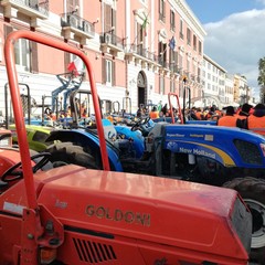 la protesta dei gilet arancioni