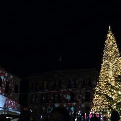 L'albero di Natale in piazza Ferrarese