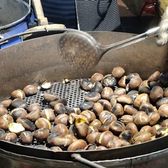 Sagra della zampina del bocconcino e del buon vino Sammichele di Bari