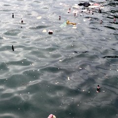 rifiuti in mare