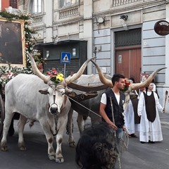 Il corteo di Sant'Antonio