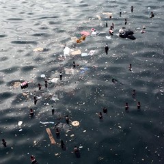 rifiuti in mare