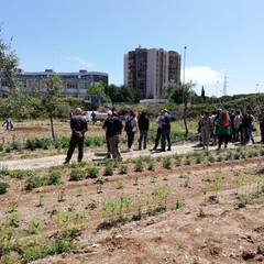 La festa a Orto Domingo