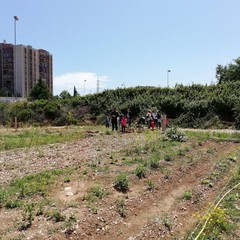 La festa a Orto Domingo