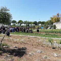 La festa a Orto Domingo