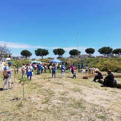 La festa a Orto Domingo