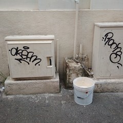 vandali goccia di latte