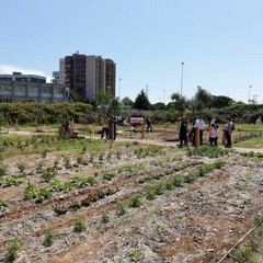 La festa a Orto Domingo