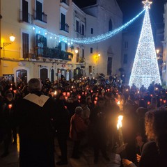 pellegrinaggio bari vecchia