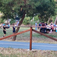 La manifestazione in Pineta