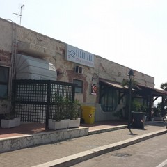 cassonetti organico con lucchetto