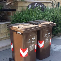 cassonetti organico con lucchetto
