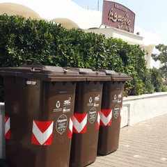 cassonetti organico con lucchetto